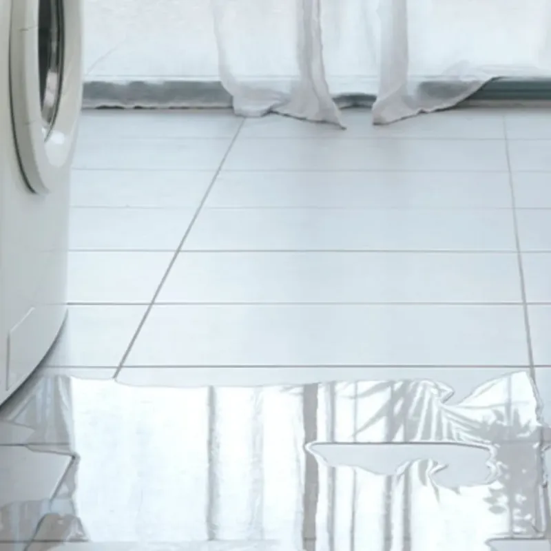 Appliance Leak Cleanup in Moss Point, MS