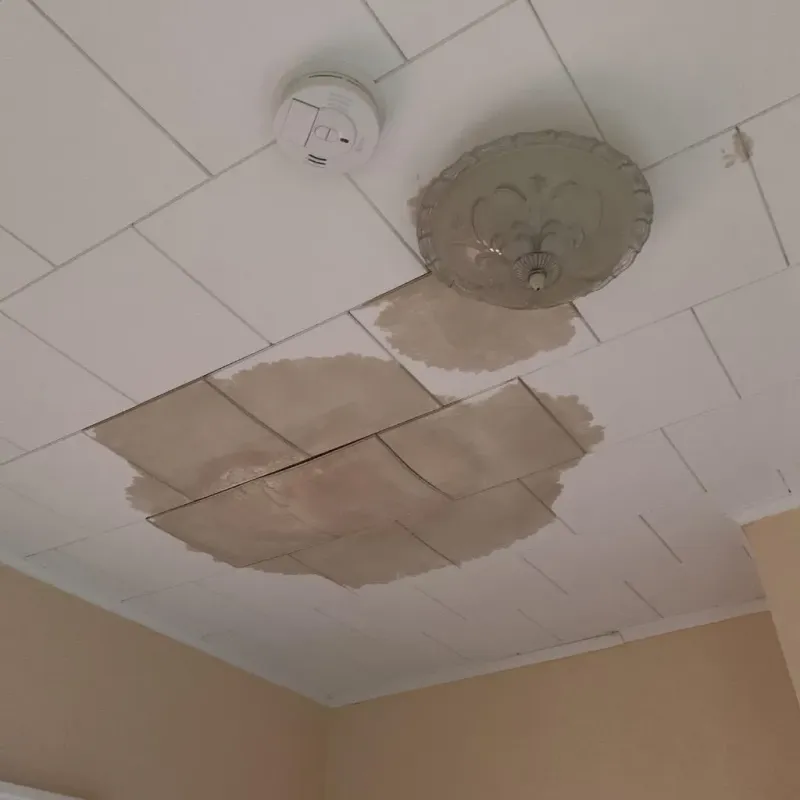 Ceiling Water Damage Repair in Moss Point, MS