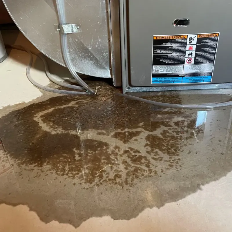 Pipe Burst and Leak Restoration in Moss Point, MS