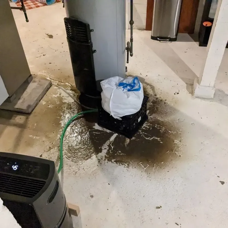 Sewage Backup Cleanup Service in Moss Point, MS